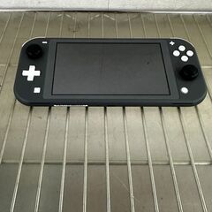 Nintendo/SWITCH Lite/HDH-001