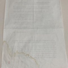 本金箔錦絵 貴乃花土俵入りの図