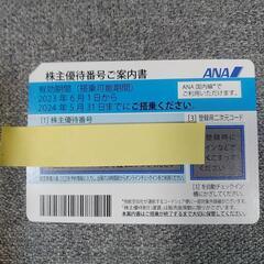 ANA株主優待(～2024/5/31搭乗)