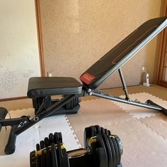 可変式ダンベル　40kg×2個、トレーニングベンチのセット