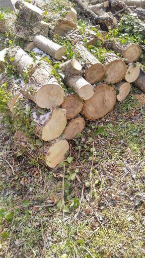 薪ストーブ用　玉切り材　薪　薪材　広葉樹