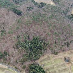 【成約済】山林物件160　岩手県花巻市東和町の画像