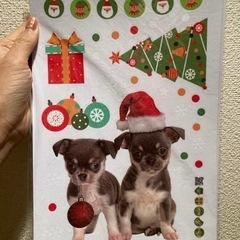 新品　シールセット　クリスマスステッカー　犬