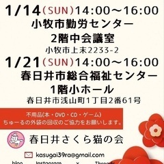 猫の譲渡会2024年1月