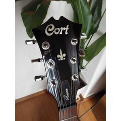 Cort SourceセミアコースティックギターES335タイプ手渡しにて