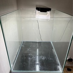 60cmワイド水槽（水槽台、ライト付）