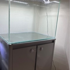 60cmワイド水槽（水槽台、ライト付）