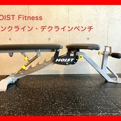 ●期間限定値下げ●【引取限定】★レア★【中古美品】HOIST★ア...