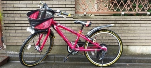 BRIDGESTONE ブリヂストン 自転車 22インチ