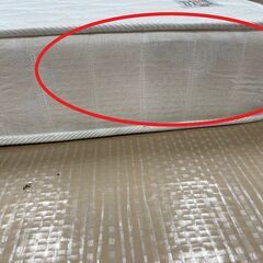 magniflex　モデル246（S）