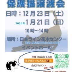 12/23❄️可児🐱保護猫譲渡会