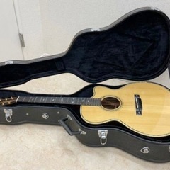 ARIA アリア　最上位機種　sandpiper SP1