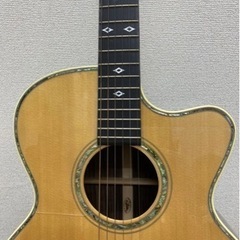 ARIA アリア　最上位機種　sandpiper SP1