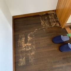 シロアリ被害にあった玄関の床を修復してほしい。