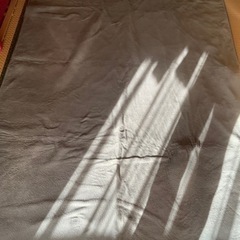 絨毯　じゅうたん　カーペット　サイズ200×300センチ 1年弱...