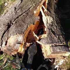 油圧手動薪割り機