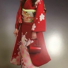 成人式 正絹友禅振袖&袋帯、バック、草履