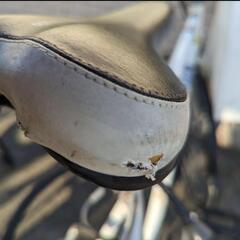 RENAULT ルノー　クロスバイク　ホワイト (説明書、泥除け、充電式ライト、ワイヤーロック式鍵付属)