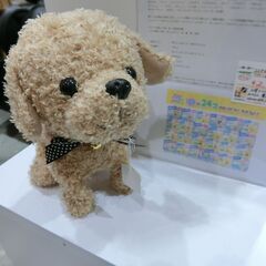 ココ さかだちして アプリコット 犬のおもちゃ 【モノ市場東海店...
