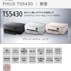 Canon プリンター本体　A4インクジェットPIXUS TS5...