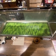 ネタケース冷氷式