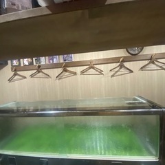 ネタケース冷氷式