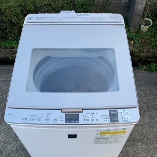 洗濯機 SHARP ES-PH8C-N 電気洗濯乾燥機 2023年製 8kg 穴なし槽 家電