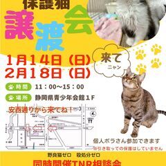 保護猫譲渡会・TNR相談会in静岡市葵区 2024/1/14（日）の画像