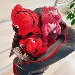 【お取引先決定】レディース ゴルフセット一式