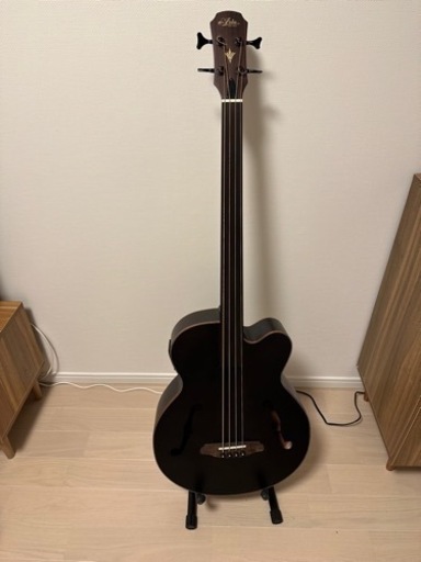 ARIA FEB-F2/FL  アコースティックベース