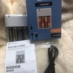 電池交換式充電器