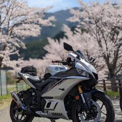 【ネット決済】yzf r25 希少車　マットシルバー