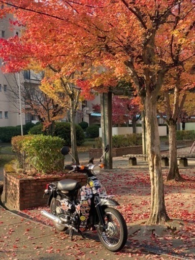 リトルカブ　50cc AA01 F I