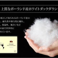 未使用訳あり　日本製　五ッ星　ロイヤルゴールドラベル　ポーランド産ホワイトダックダウン９３％　１，9キロ　キング　ブラウン