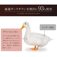 未使用訳あり　日本製　五ッ星　ロイヤルゴールドラベル　ポーランド産ホワイトダックダウン９３％　１，9キロ　キング　ブラウン