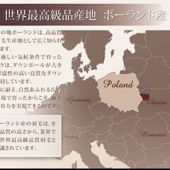 未使用訳あり　日本製　五ッ星　ロイヤルゴールドラベル　ポーランド産ホワイトダックダウン９３％　１，9キロ　キング　ブラウン