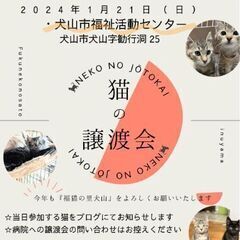 1月7日（日）猫の譲渡会　@犬山市動物総合医療センター