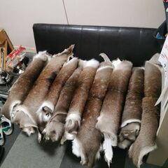 🔥キャンプ用　ラグマット　鹿毛皮🦌🦌🦌　スモ−ルサイズ　最高級な毛並み💌