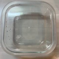 キッチン容器/ガラスのタッパー