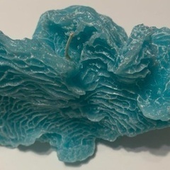 キャンドル　珊瑚の形　