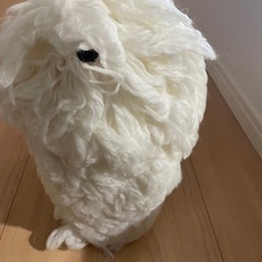 トリミングプロフェッショナル資格　定価242,000円