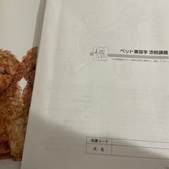 トリミングプロフェッショナル資格　定価242,000円