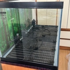 値下げしました！　美品　GEX マリーナ水槽　水槽台　ガラス蓋付　熱帯魚　底面濾過　水中ポンプ