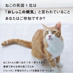 【ネット決済】【新品】トレッタ Toletta 猫 トイレ スマ...