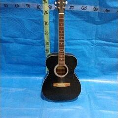 1224-029 アコースティックギター