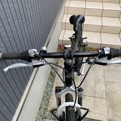 ルイガノ LGS-FIVE マウントバイク 420mm