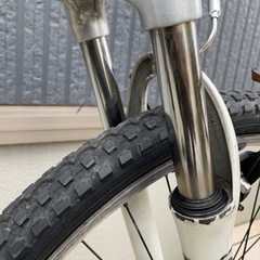 ルイガノ LGS-FIVE マウントバイク 420mm