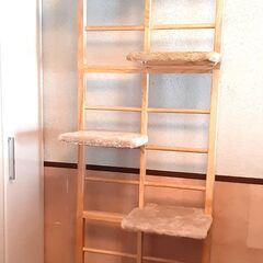 木製インテリアタワー　突っ張り式猫階段　キャティー　ドギーマン　...