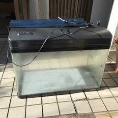 ニッソー60センチ水槽セット