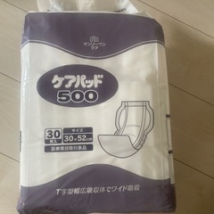 ケアパッド500